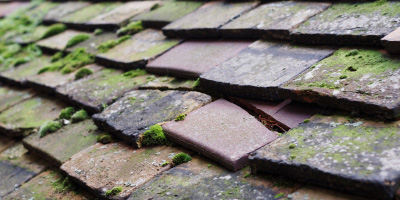 Summerleaze roof repair costs